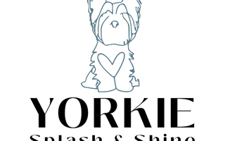Yorkies & Poisoning