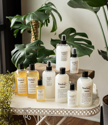 Shop All Grooming Products